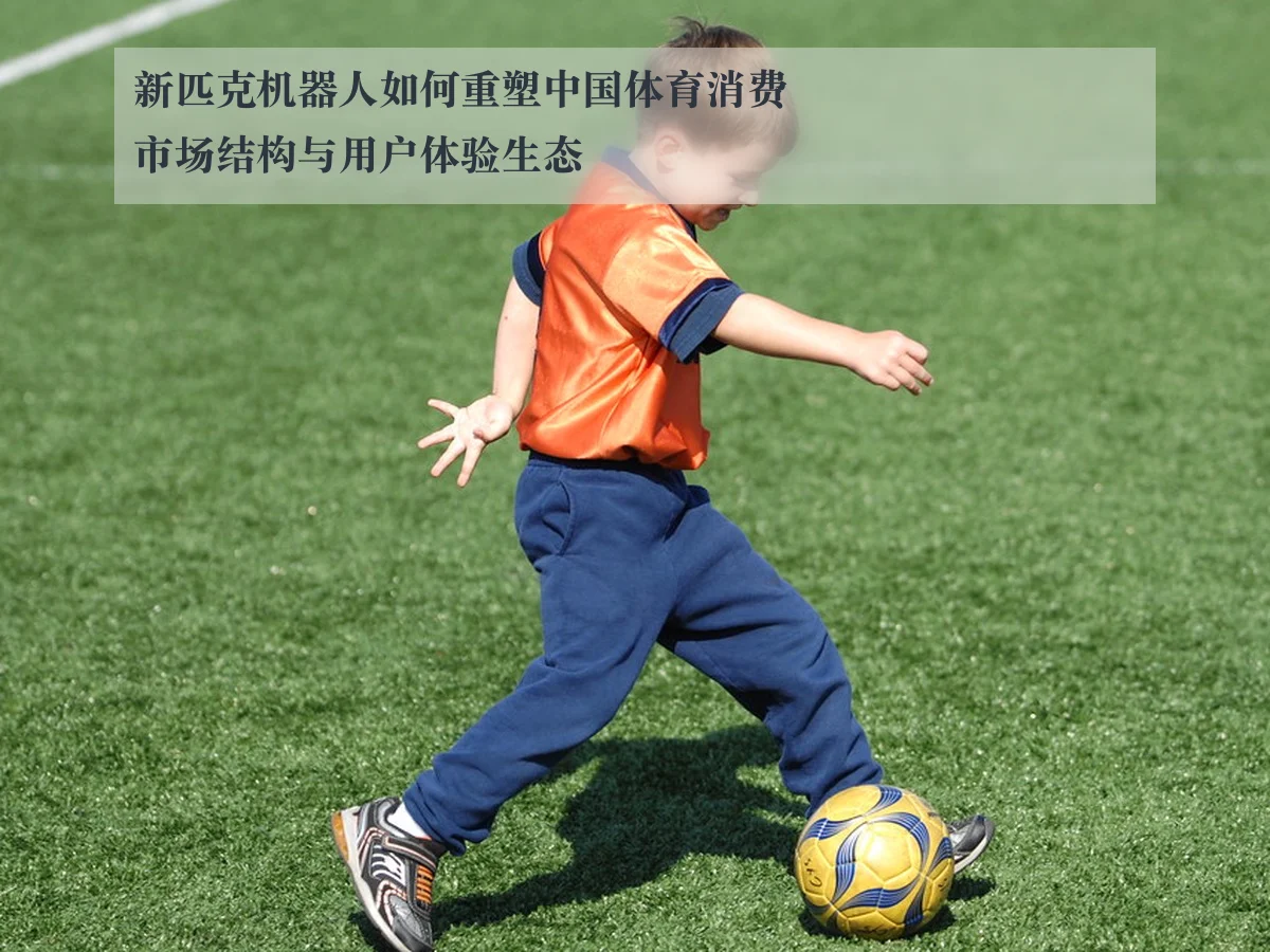 新匹克机器人如何重塑中国体育消费市场结构与用户体验生态